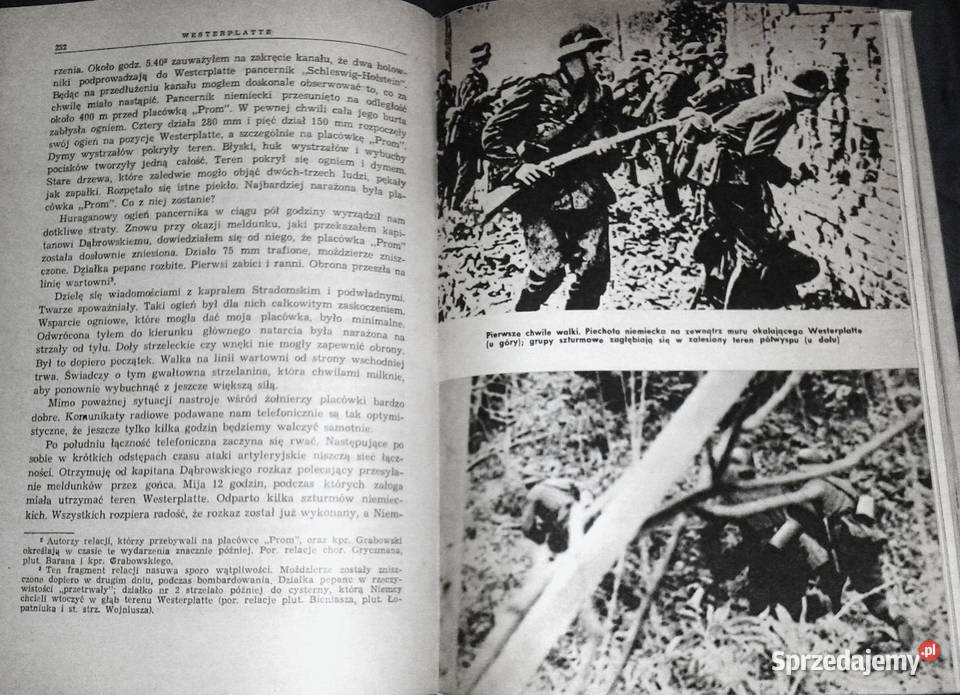 Westerplatte Zbigniew Flisowski Chełm