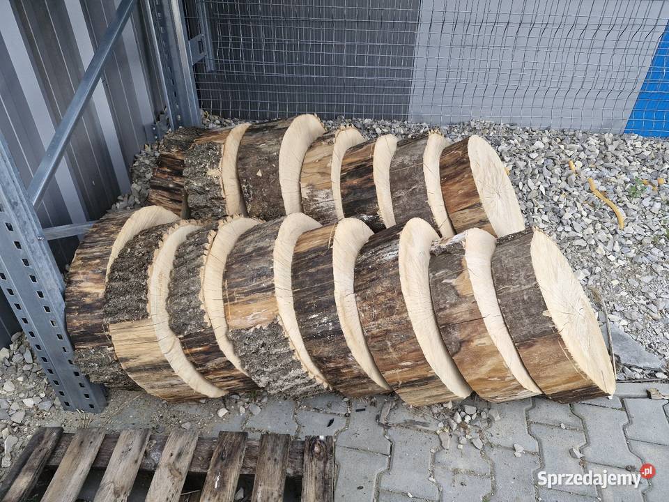 Plastry jesiona jesion na stoliki Wiślica