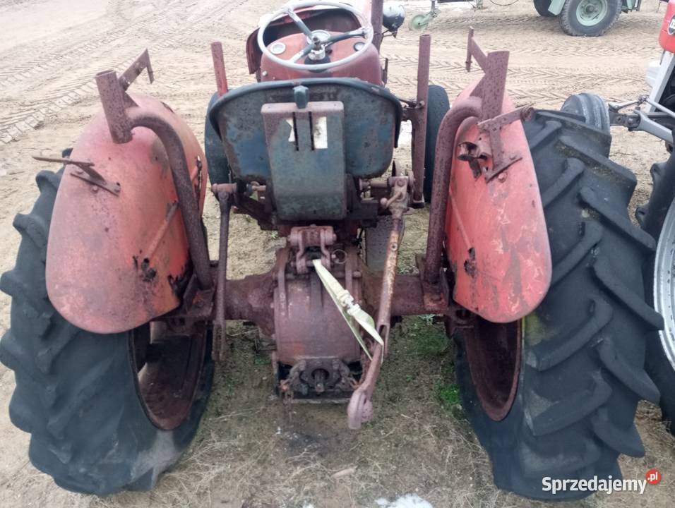 Ciągnik Massey Ferguson 35 Buk sprzedam