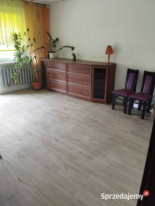 Wynajmę mieszkanie 2 pokoje miejskie CO Apartamenty i mieszkania Zabrze