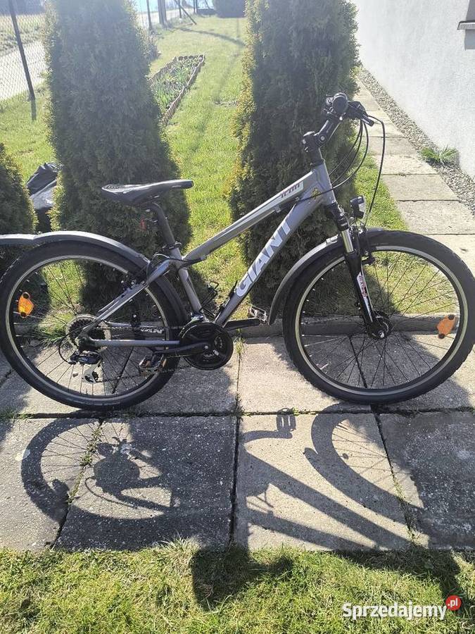 Rower Giant Wilkowice