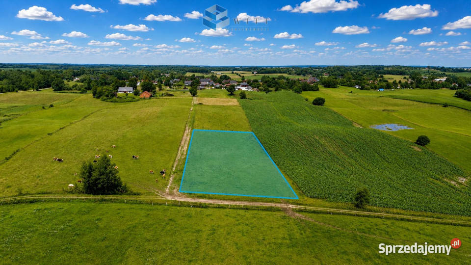 Działka 3200m2 Jurki