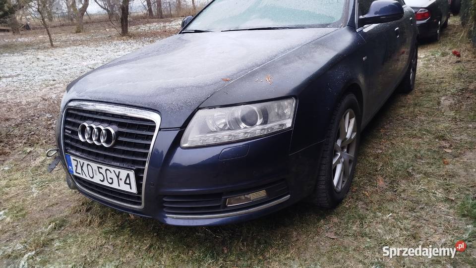 Audi 2009 Stargard