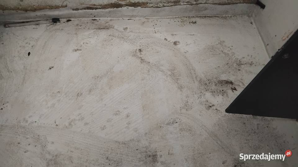 Łódź motorową z przyczepą Rok produkcji 1989 Oława sprzedam