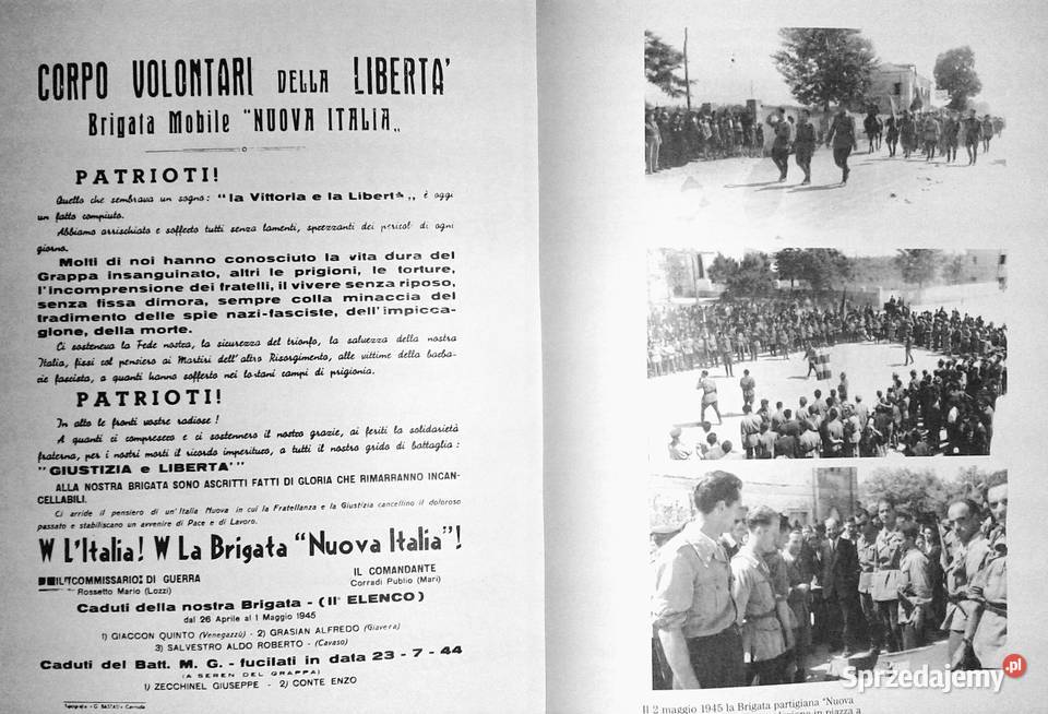 Caro arciprete Giorgio Morlin Chełm