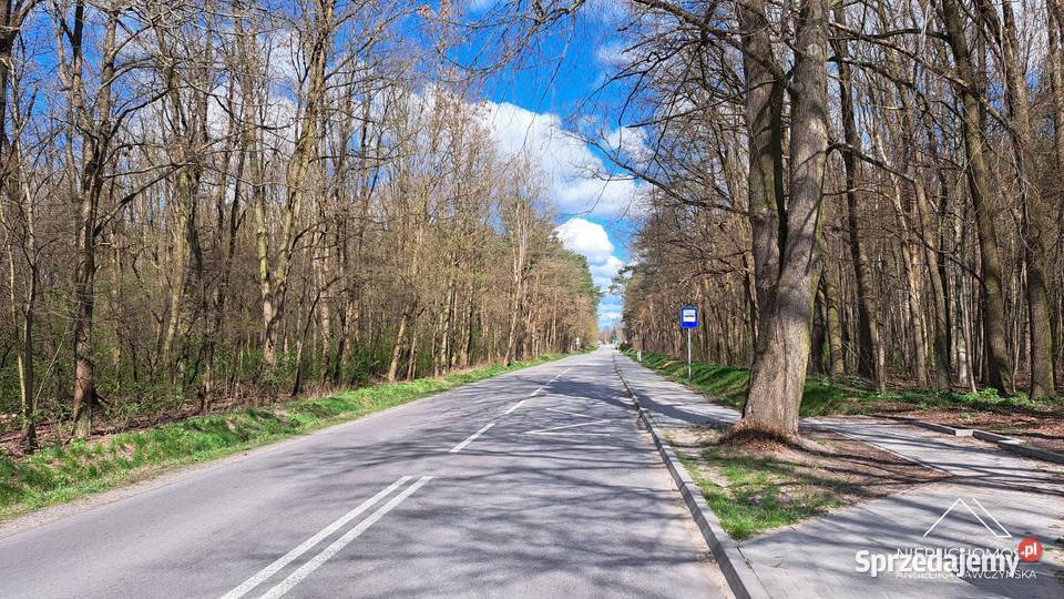 DOM duża działka i wszystkie media autobus Wola Marzeńska sprzedam