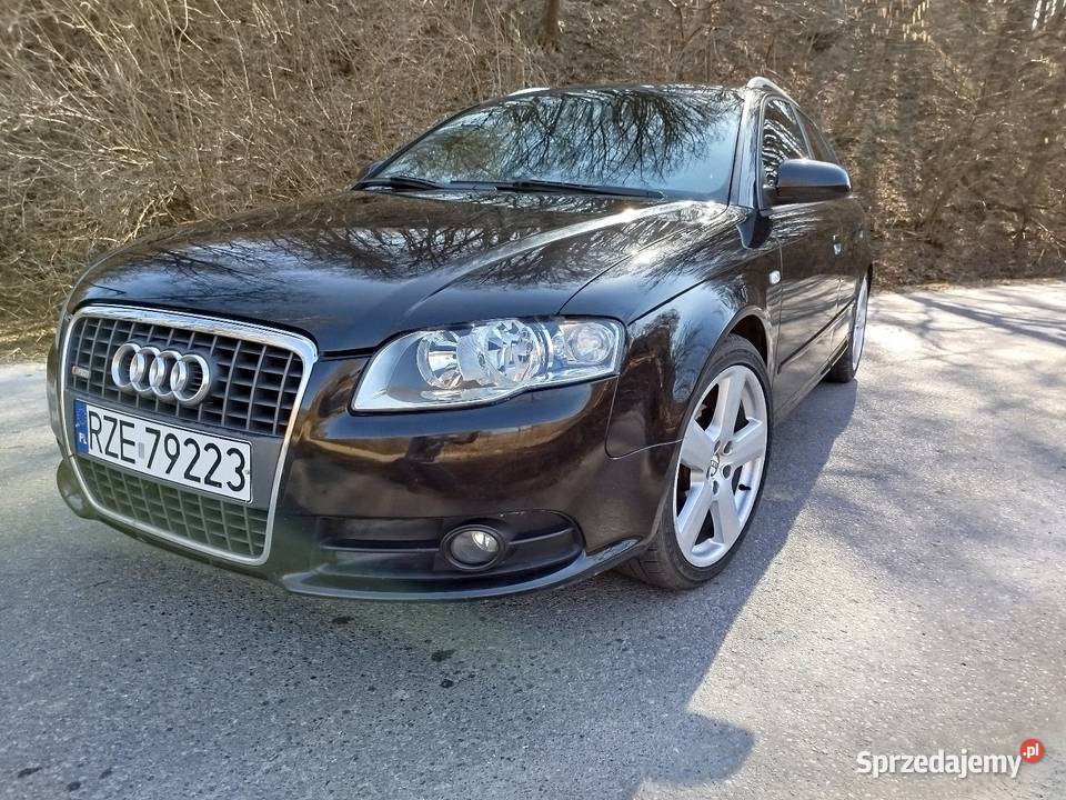 Audi a4 b7 diesel Bachórz
