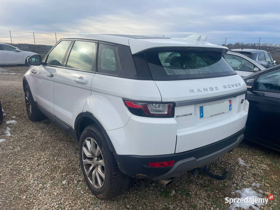LAND ROVER Range Rover Evoque 20 TD4 150 4WD Kielce
