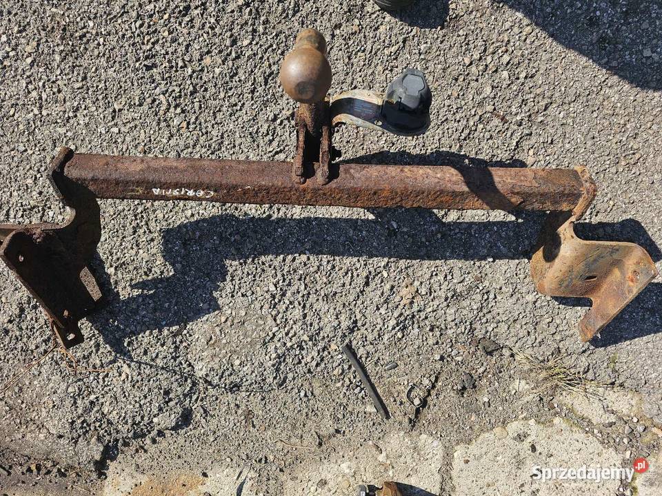 Hak Carisma Łagów sprzedam