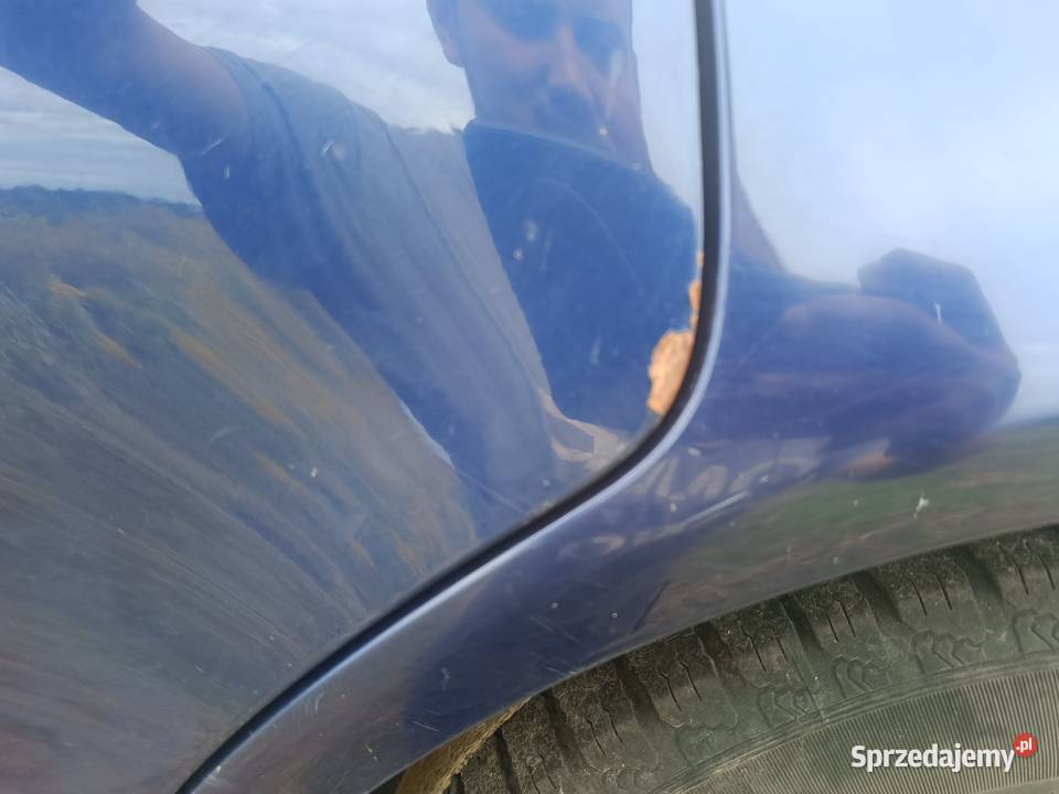 Drzwi Gołe Tył Lewy LZ5K Audi A4 B5 FL a37 śląskie Myszków