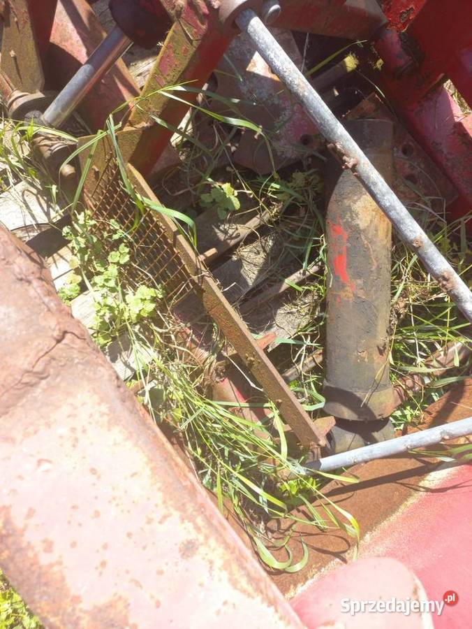 Wycinak szczękowy do kiszonek lubuskie