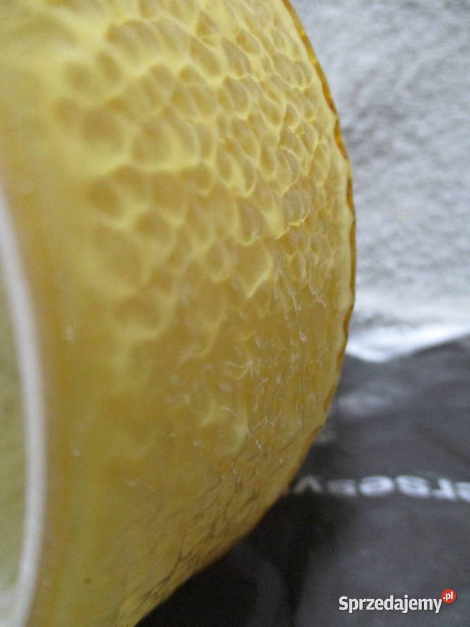 Szklany Klosz podwójne szkło lane mrożone sprzedam