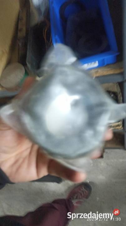 Sprężyna łoż K 79550508 fosf AN 120 Kłodawa