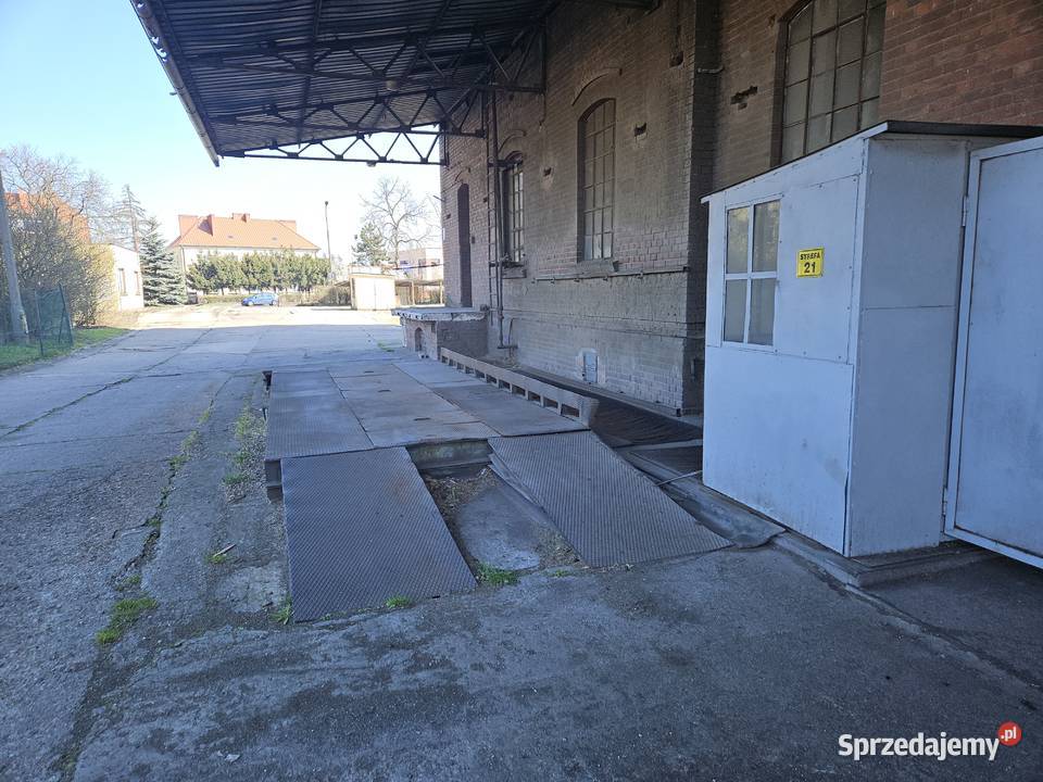 waga samochodowa Międzychód sprzedam