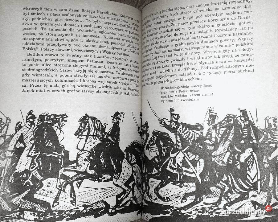 Trójkolorowa kokarda Jadwiga Chamiec Chełm sprzedam