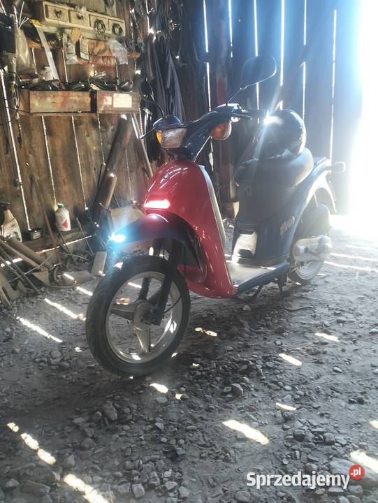 Piaggio free 52t Żurawnica sprzedam