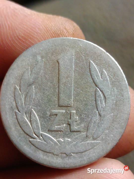 Sprzedam 1 zl 1957 qqqq Chełm sprzedam