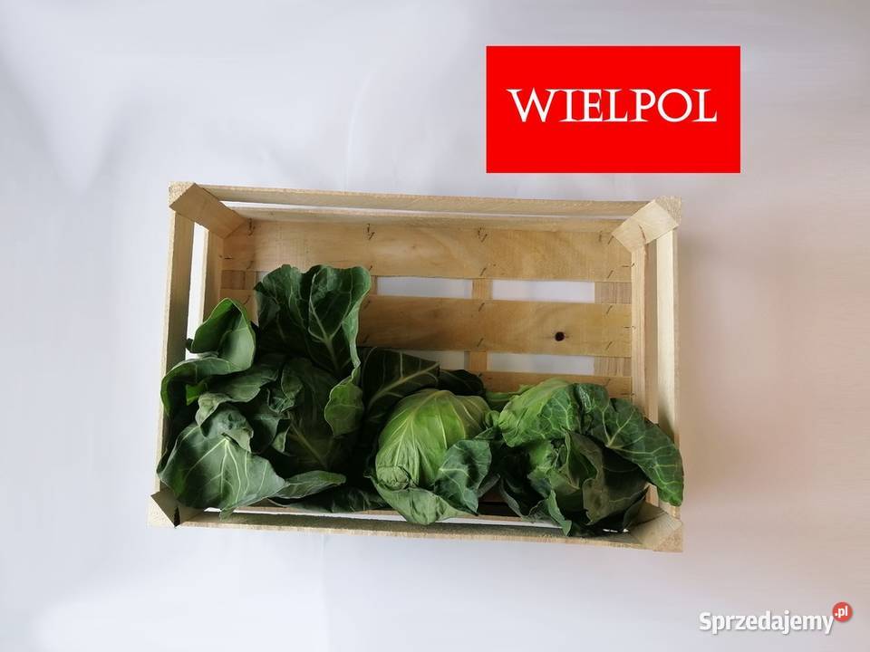 Skrzynki drewniane do kapusty Skrzynki z