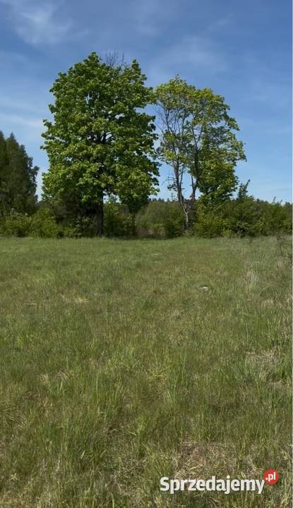 Działka Płazów Roztocze
