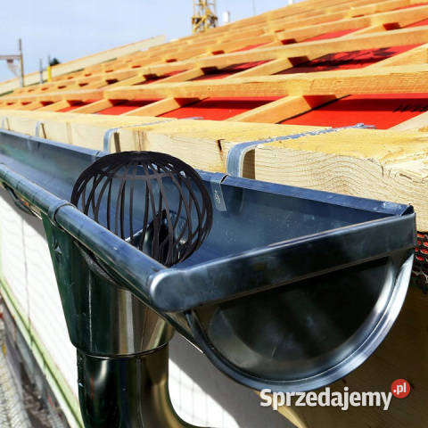 FILTR RYNNY RYNIEN KOSZYCZEK SITKO CZYSZCZAK DO podkarpackie Jasło