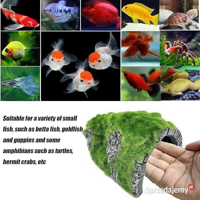 Jaskinia pokryta mchem do akwarium