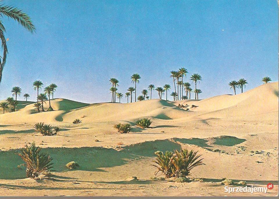 widokówka czysta z Libii Fezan Puławy