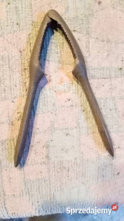 stary dziadek do orzechów Wałbrzych sprzedam