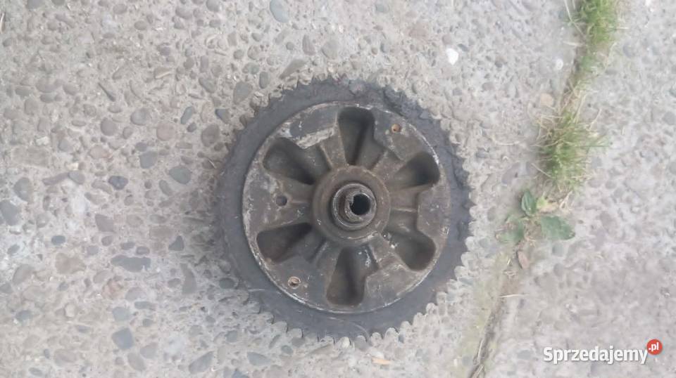 Zębatka tył jawacz podkarpackie Kosienice