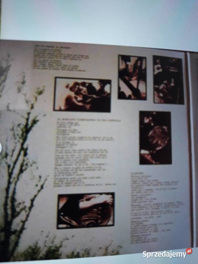 Perełka włoskiego Prog Rocka MAXOPHONE Italian