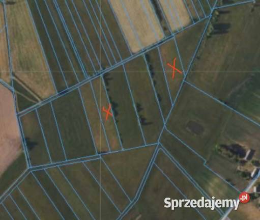 Sprzedam dwie działki łąki torfowe podlaskie Gilbowszczyzna