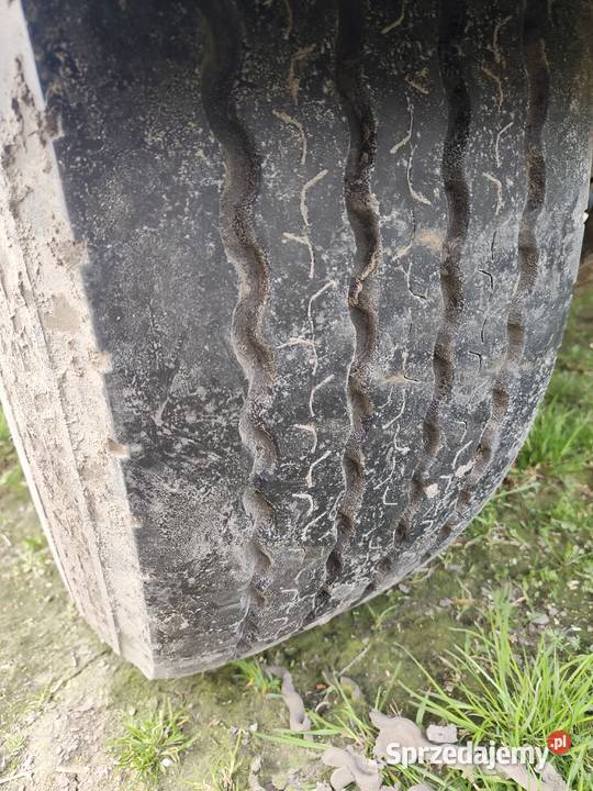 Przyczepa Pana PV18 Strzelce