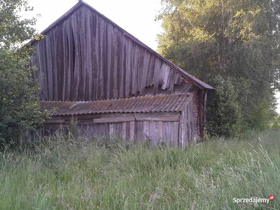 stodołę z bala sosnowego do rozbiórki Szernie