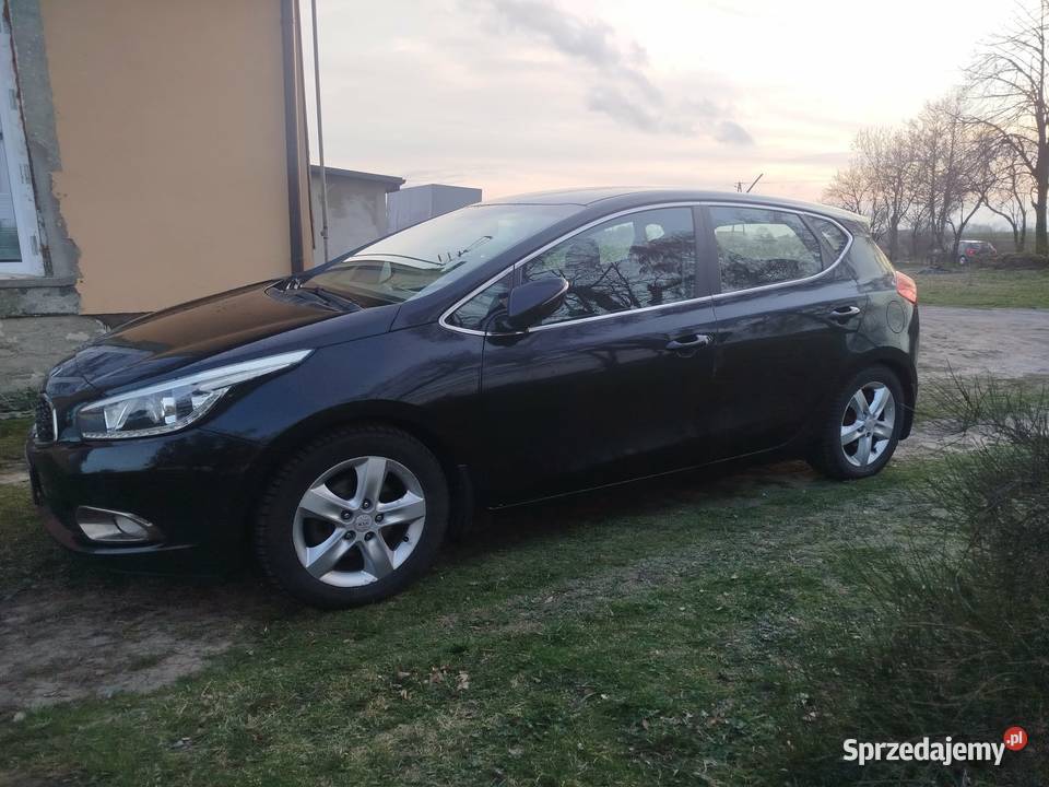 Kia ceed doinwestowany Garbacz