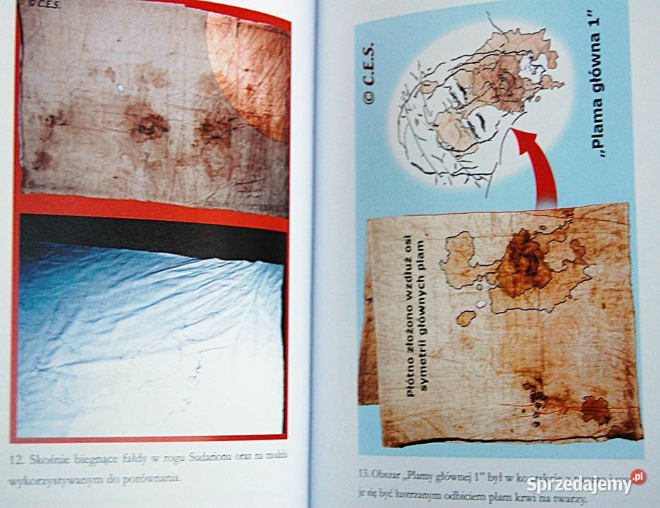 Święta chusta Święta Krew Tajemnica sudarionu z lubelskie sprzedam