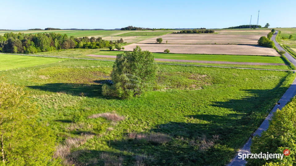 Działka inwestycyjna 256 ha GrabnikKrasnobród Grabnik