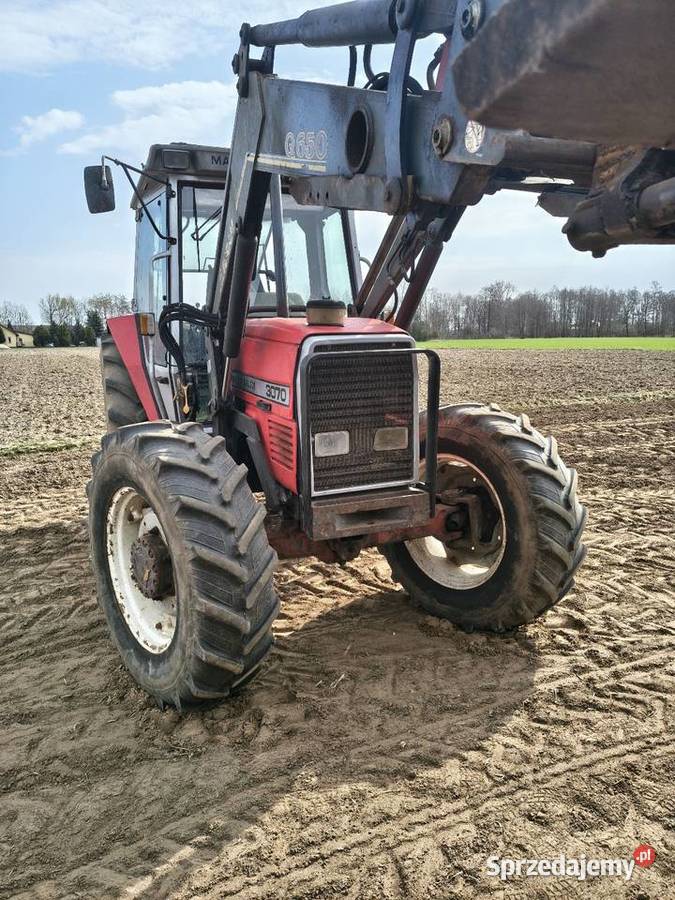 Massey Ferguson 3070 z turem Uniejów