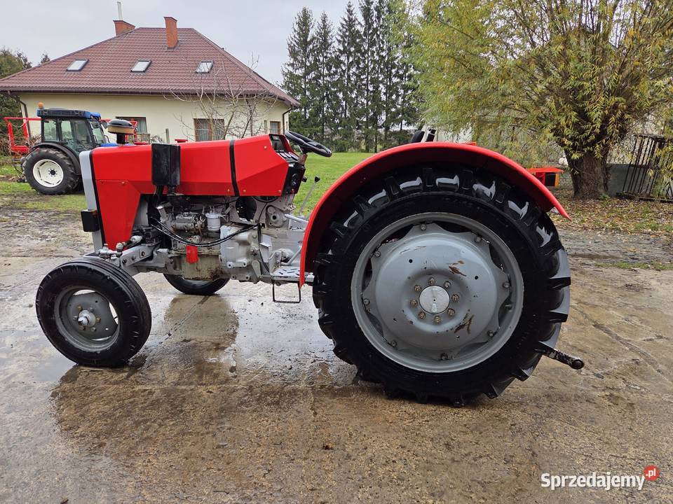 MF 255 Ursus 3512 mazowieckie Gośniewice