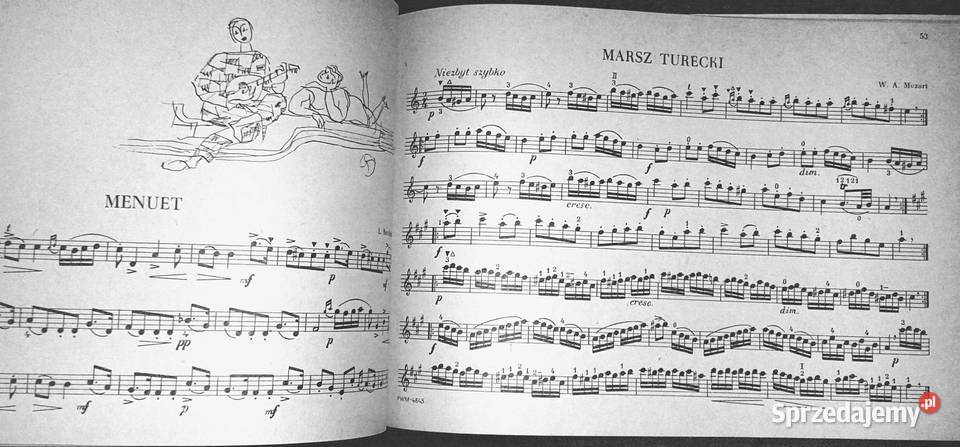 100 ulubionych utworów na mandolinę skrzypce T Pozostałe Chełm