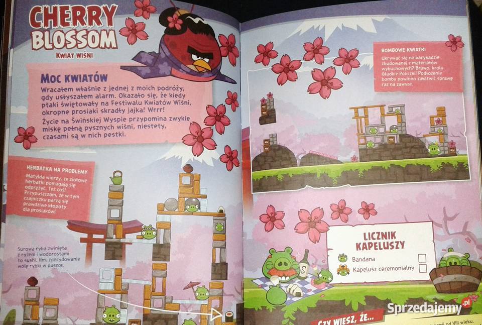 Angry Birds Kolorowy świat Oficjalny przewodnik Chełm