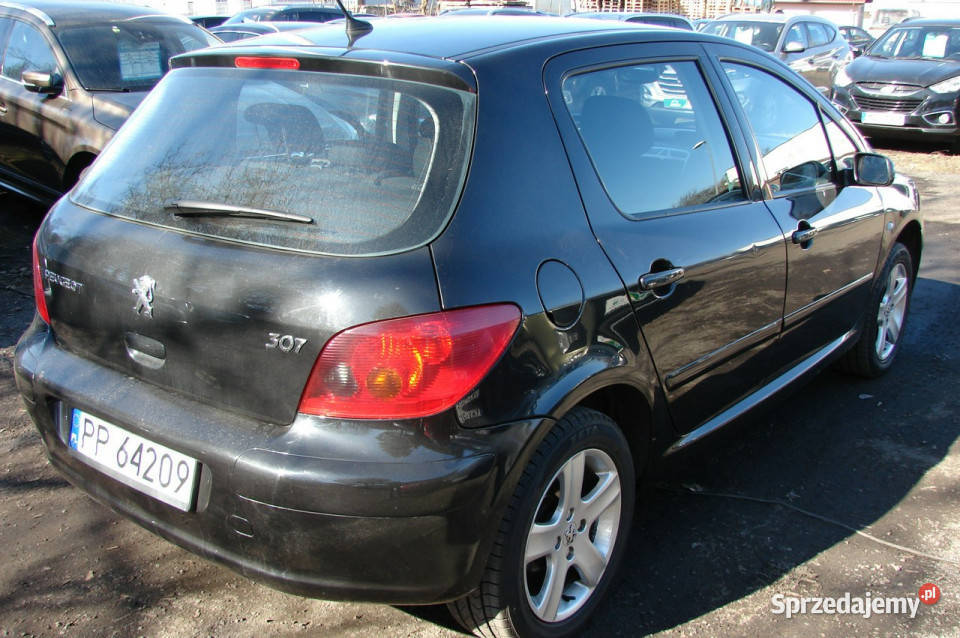 Peugeot 307 16 E 110 80000 stan listopad 2004 I ABS Piła