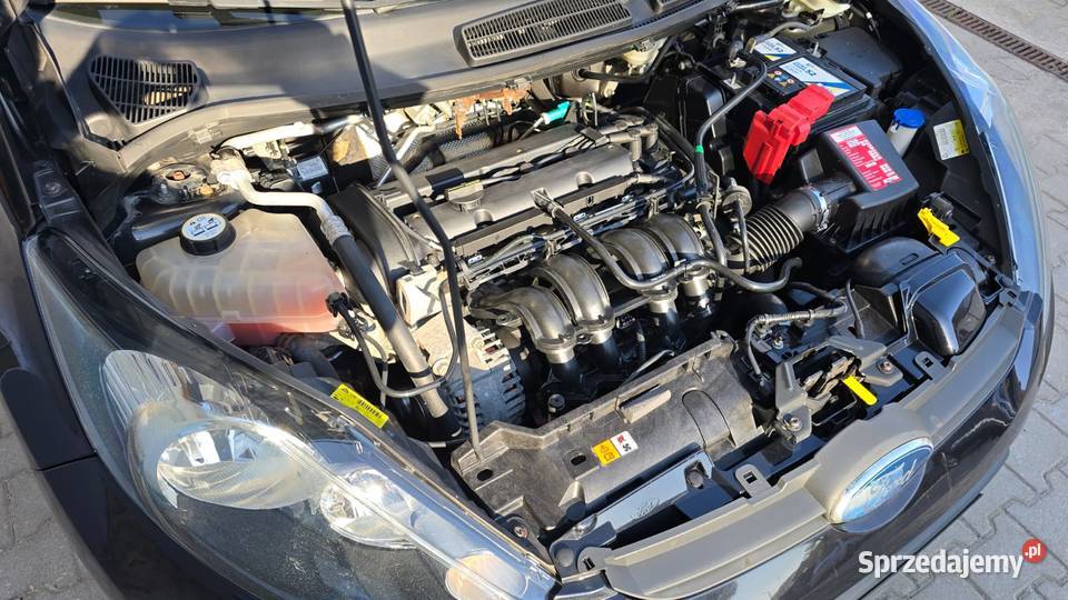 Ford Fiesta 125 Trend Nowy Świętów