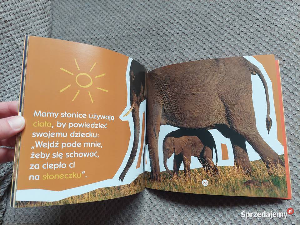 Co jeden słoń powiedział drugiemu Becky Baines sprzedam