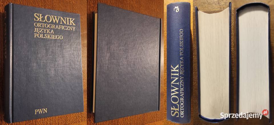 Idealny stan Mieczysław Szymczak Słownik Warszawa sprzedam