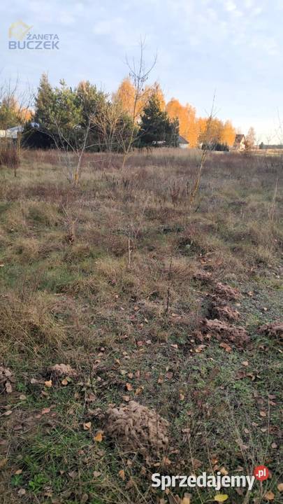 Sprzedam działki budowlane w Nowych Mostkach Nowe Mostki