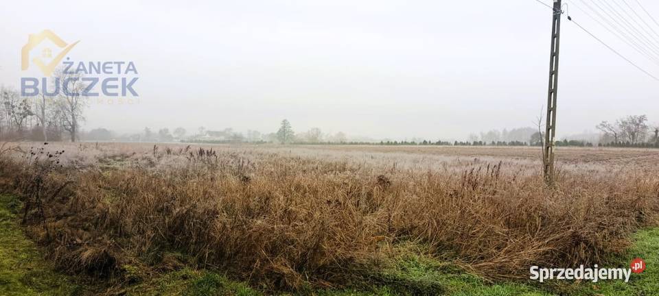 Sprzedam działkę o pow 6144 m2 w Antoniewie budowlana mazowieckie Żdżarów