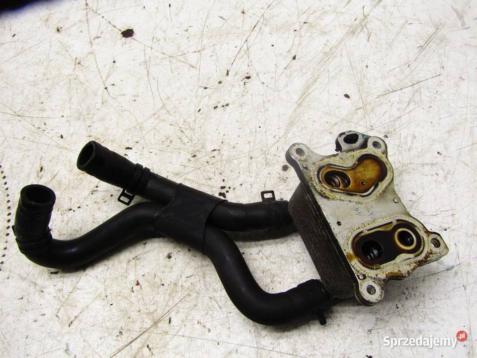 CHŁODNICZKA CHŁODNICA OLEJU 12 DIGT NISSAN sprzedam