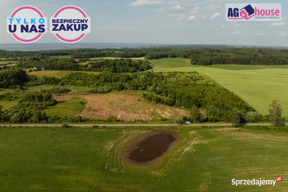 Grunt 3180m2 Łęcze Sprzedaż
