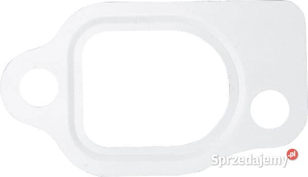 Uszczelka gaźnika 17151ZJ1841 Kamionna