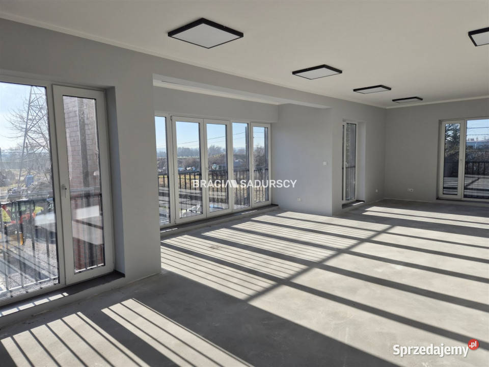 Lokal Kraków Łęg 310m2