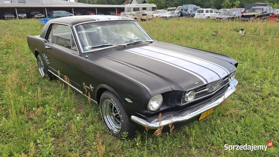 Mustang GT 289 z 1966 roku pełna renowacja Mustang Milejowice